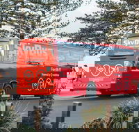 SkyBus Byron Bay Express - Accommodation Ballina