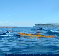 Whale Watching by Sea Kayak in Batemans Bay - Accommodation Ballina