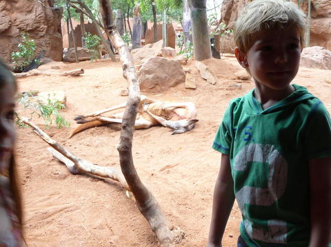 WILD LIFE Sydney Entrance Ticket - Accommodation Ballina 10