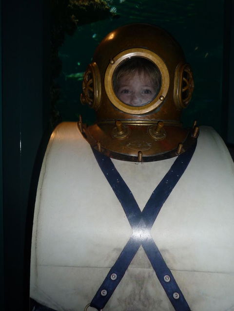 WILD LIFE Sydney Entrance Ticket - Accommodation Ballina 3