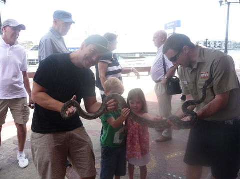 WILD LIFE Sydney Entrance Ticket - Accommodation Ballina 11