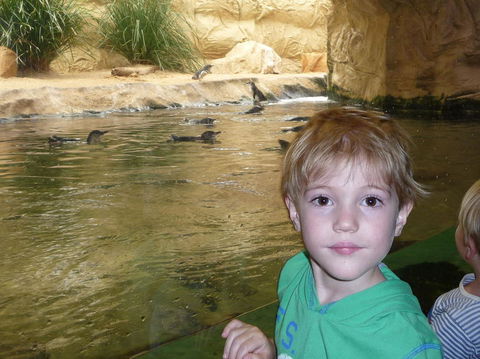 WILD LIFE Sydney Entrance Ticket - Accommodation Ballina 5