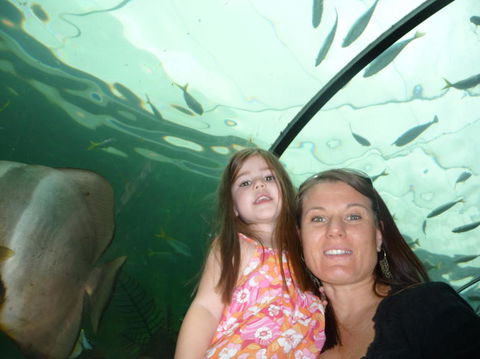 WILD LIFE Sydney Entrance Ticket - Accommodation Ballina 4