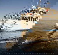 Jervis Bay Dolphin Watch Cruise - Accommodation Ballina