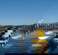 Batemans Bay Oyster Tasting Kayak Tour - Accommodation Ballina