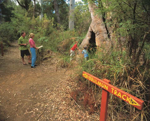Bibbulmun Track - Accommodation Ballina 1