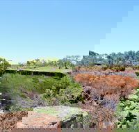 Bladensburg National Park - Accommodation Ballina