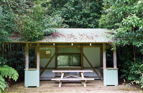 Coachwood Picnic Area - Accommodation Ballina 0