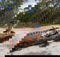 Crooked Brook Forest - Accommodation Ballina