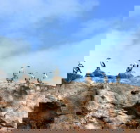 Dirk Hartog Island National Park - Accommodation Ballina