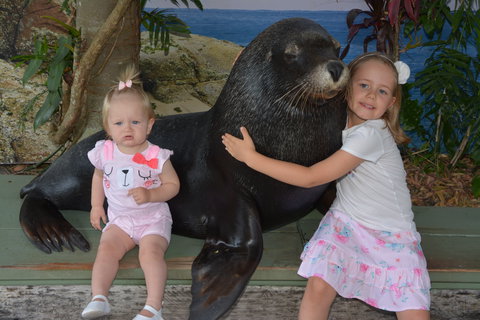 Dolphin Marine Conservation Park - Accommodation Ballina 1