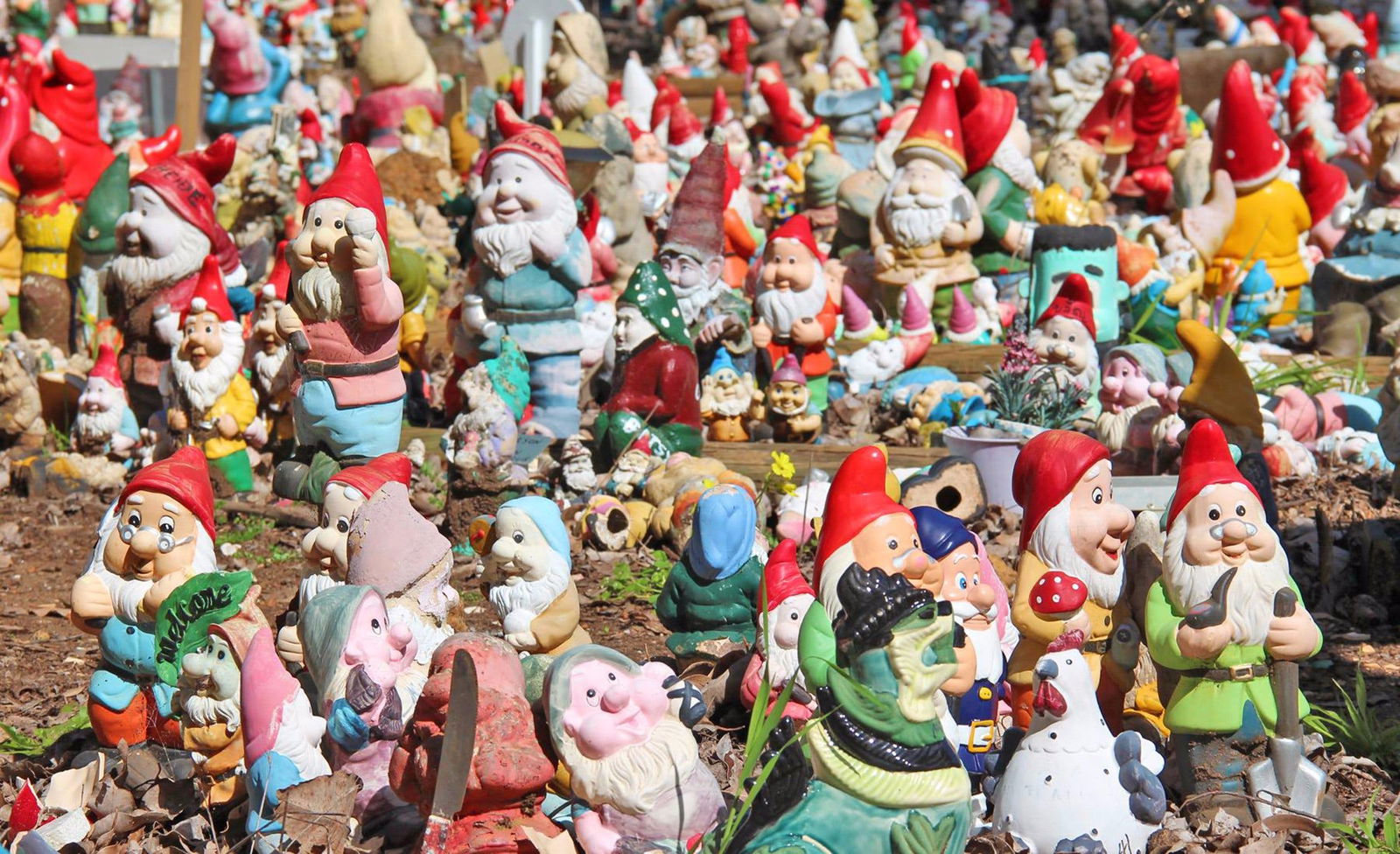 Wellington Mill WA Accommodation Ballina