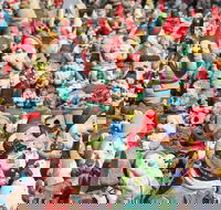 Gnomesville - Accommodation Ballina