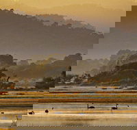 Greens Beach - Accommodation Ballina