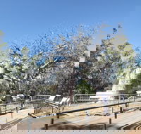 Gregory's Tree Timber Creek - Accommodation Ballina