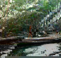 Great Beach Drive - 3 Day Itinerary - Accommodation Ballina