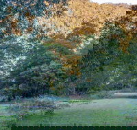 Griffins walking track - Accommodation Ballina