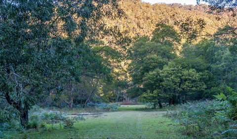 Griffins Walking Track - Accommodation Ballina 0