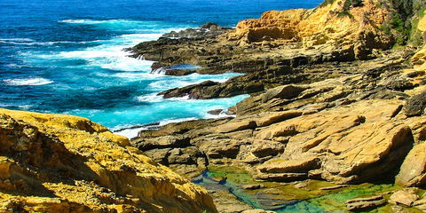 Gumnut Hideaway Gallery - Accommodation Ballina 2