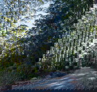 Hastings Forest Way Touring Route - Accommodation Ballina