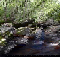 Kangaroo River - Accommodation Ballina