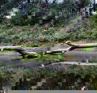 Kayaking Upper Tuross River and Bumbo Lake - Accommodation Ballina