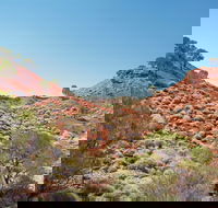 Lark Quarry Conservation Park - Accommodation Ballina