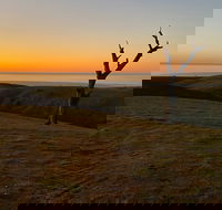 Lessismore Farm Afternoon Farmer - Accommodation Ballina