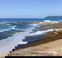 Little Shelley - Accommodation Ballina