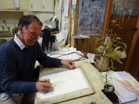 Medika Gallery - Accommodation Ballina 0