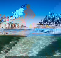 Monkey Mia - Accommodation Ballina