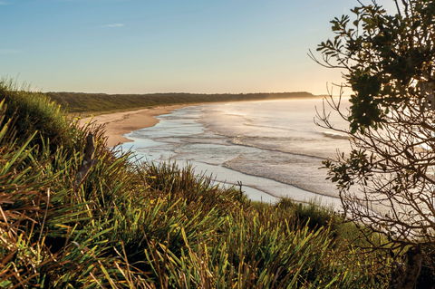 Murramarang National Park - Accommodation Ballina 0