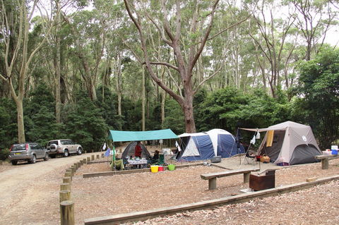 Murramarang National Park - Accommodation Ballina 2