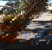Murchison Rail Trail - Accommodation Ballina