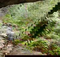 Old Great North Road Bike Ride - Accommodation Ballina