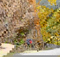 Old Great North Road - World Heritage Walk - Accommodation Ballina