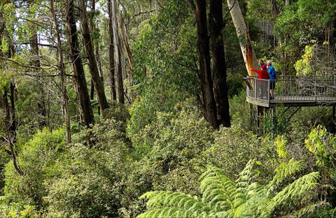 Pipers Lookout - Accommodation Ballina 0