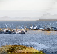 Portarlington - Accommodation Ballina