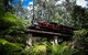 Puffing Billy Railway - thumb 0