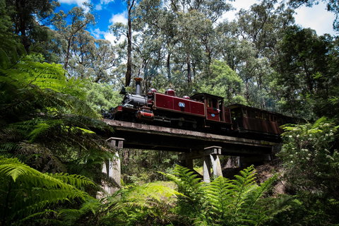 Puffing Billy Railway - Accommodation Ballina 0