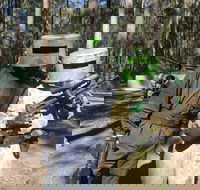 Rapid Fire Paintball - Accommodation Ballina