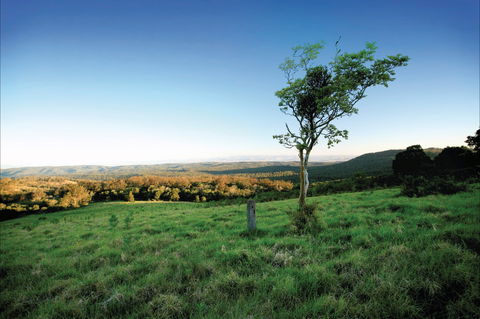 Ravensbourne National Park - Accommodation Ballina 0