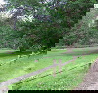 St Albans Reserve - Accommodation Ballina