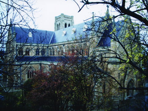 St Saviour's Anglican Cathedral - Accommodation Ballina 2