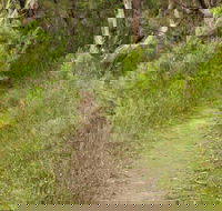 Three Views walking track - Accommodation Ballina