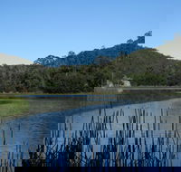Yalwal - Accommodation Ballina
