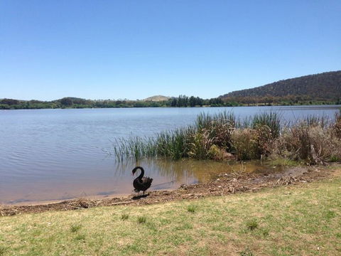 Yarralumla Bay - Accommodation Ballina 0