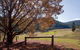 Yengo National Park - thumb 1