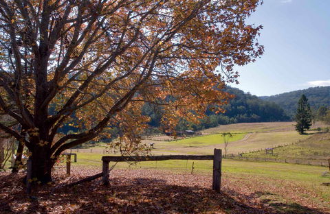 Yengo National Park - Accommodation Ballina 1