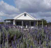 Amandine Lavender - Accommodation Ballina